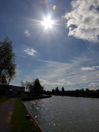 Scenic view of sun shining over trees against sky