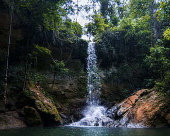 Scenic view of waterfall in forest