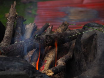 Close-up of firewood