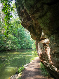 Scenic view of river amidst trees in forest