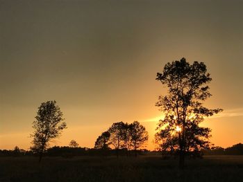 Silhouette tree on field against orange sky