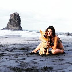 Portrait of a dog on beach