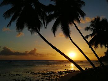 Silhouette palm trees on beach against sky during sunset