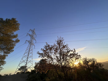 Low angle view of trees against clear sky