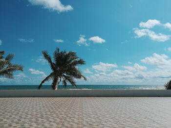 Palm trees on beach against sky