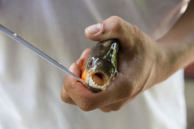 Man hand holding piranha fish and showing teeth