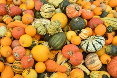 Full frame shot of pumpkins for sale at market stall