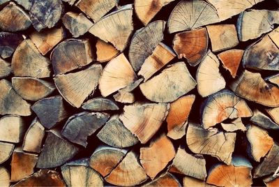 Full frame shot of logs in forest