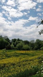 Scenic view of field against cloudy sky