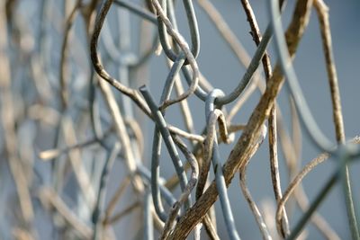 Close-up of metal against sky