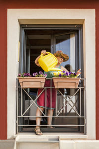 From below mature woman gardener watering the plants of the balcony of her house