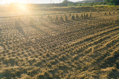 High angle view of field against sky