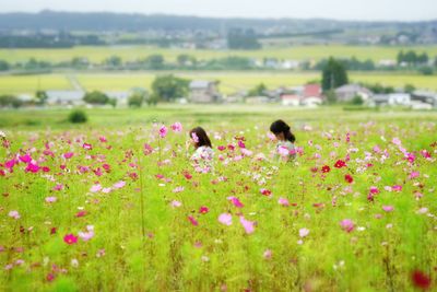 Rear view of flowers in field