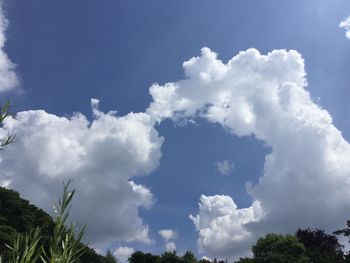 Low angle view of trees against sky