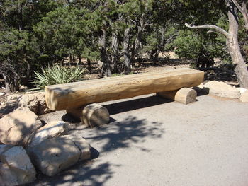 Stack of logs against trees