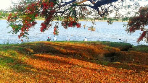 Scenic view of river against sky