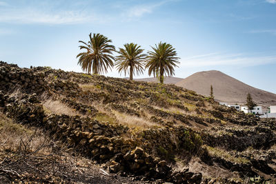 Scenic view of landscape against cloudy sky