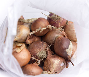 View of onions in plastic bag