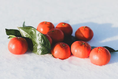 Close-up of tomatoes in snow