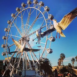 Low angle view of ferris wheel against clear blue sky