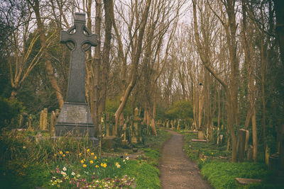 Trees growing in cemetery