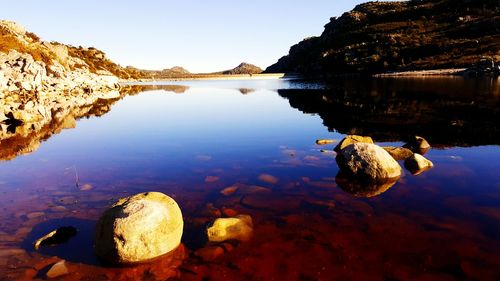 Reflection of trees in lake