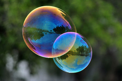 Close-up of bubbles in rainbow against trees