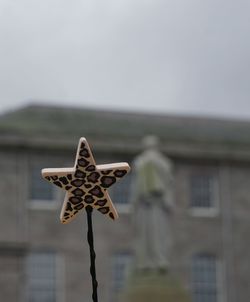 Close-up of cross against building