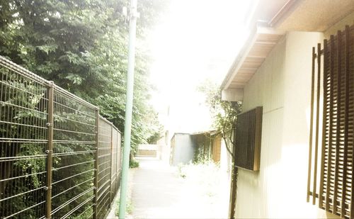 Narrow walkway leading towards houses