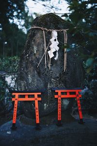 Information sign on tree trunk in forest