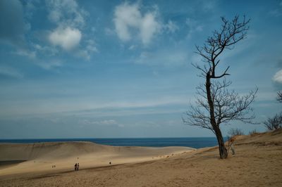 Scenic view of tottori sand dunes against sky