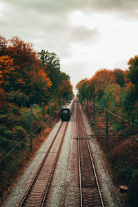 Railroad tracks amidst trees against sky
