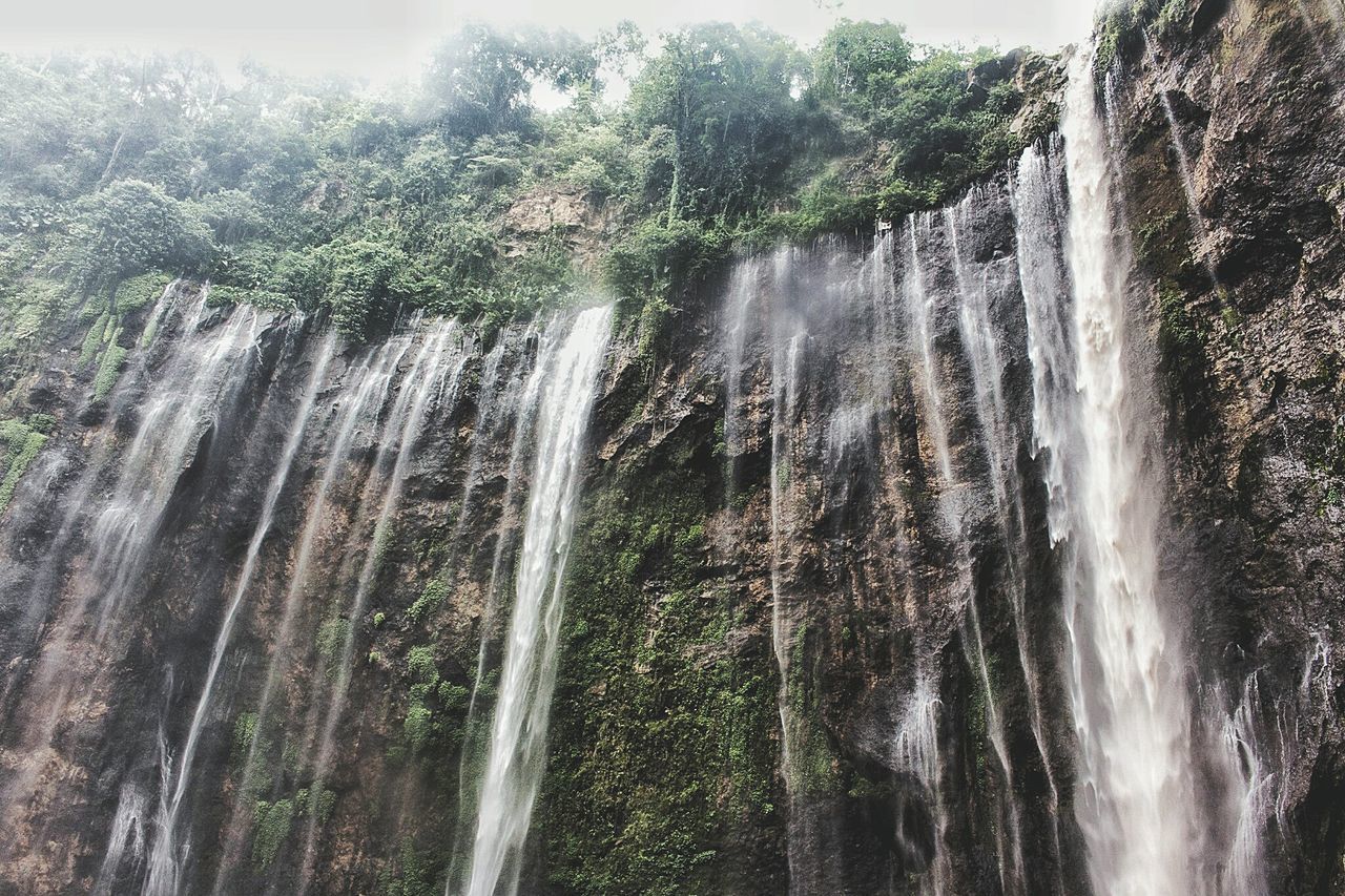 water, nature, growth, drop, no people, spraying, tree, wet, beauty in nature, close-up, low angle view, day, outdoors, waterfall, freshness, bamboo grove