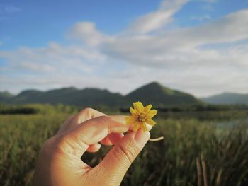 Cropped hand holding yellow flower against landscape