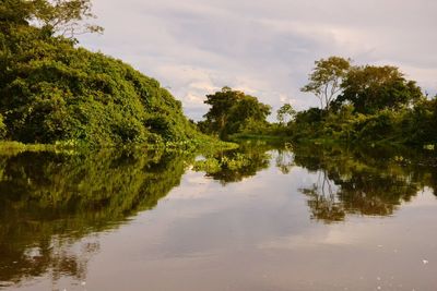 Reflection of trees in lake against sky