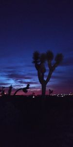 Silhouette people on illuminated street against sky at night