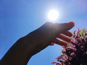 Low angle view of hand holding sun