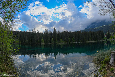 Scenic view of lake by trees in forest against sky