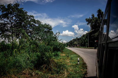 Road by trees against sky