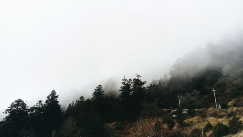 Trees on landscape against sky during foggy weather