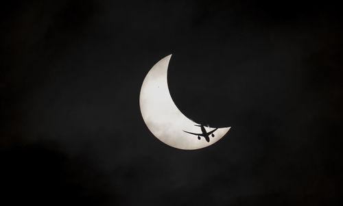 Bird flying against clear sky at night