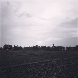 Scenic view of field against sky