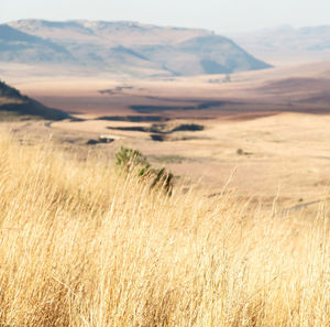 Scenic view of field against mountains