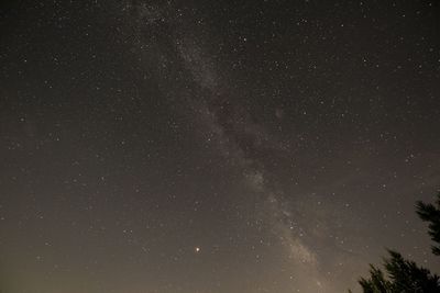 Low angle view of stars against sky at night