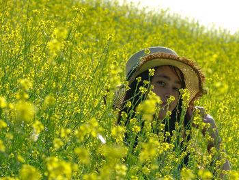 Yellow flowering plants on field