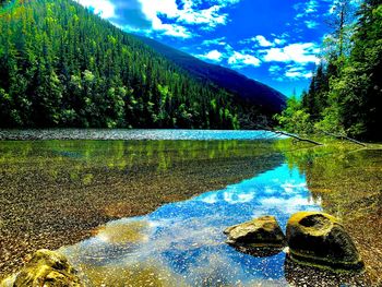 Scenic view of lake in forest against sky