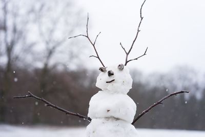 Close-up of snow on tree during winter