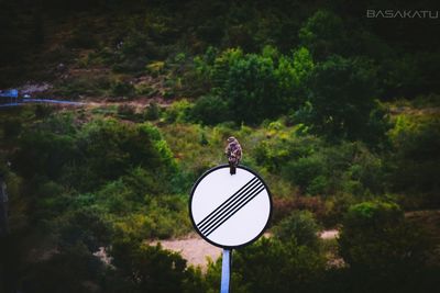 Road sign against the sky