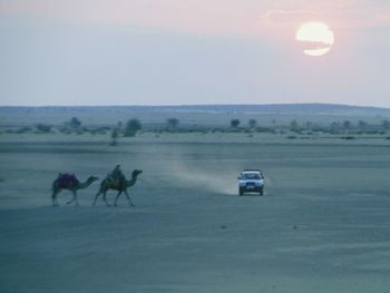 Scenic view of landscape at sunset