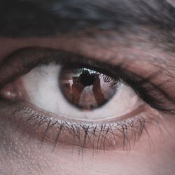 Extreme close-up of human eye